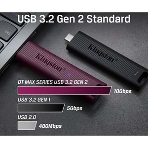 Kingston DTMAXA/256GB DataTraveler Max Type-A Gen 2 Usb 3.2 Bellek